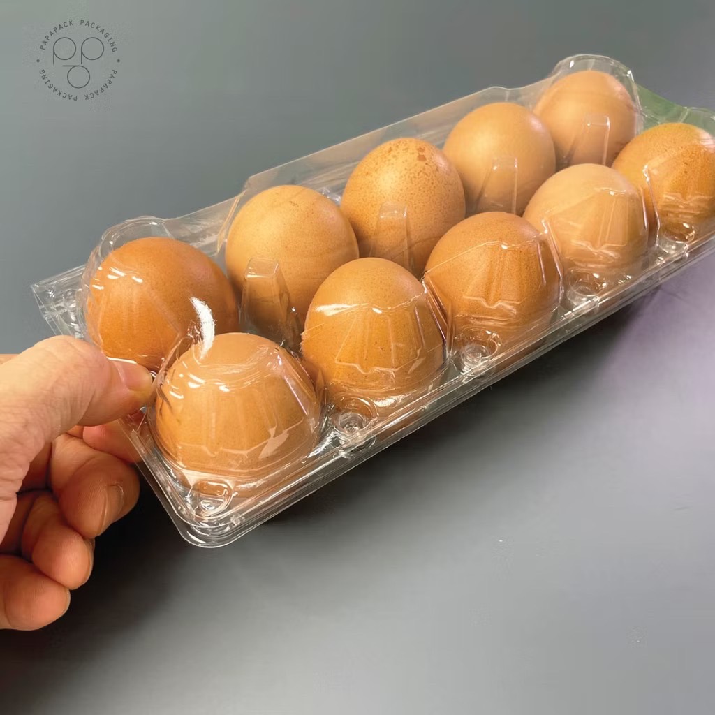 แผงไข่ ประเภท 4
